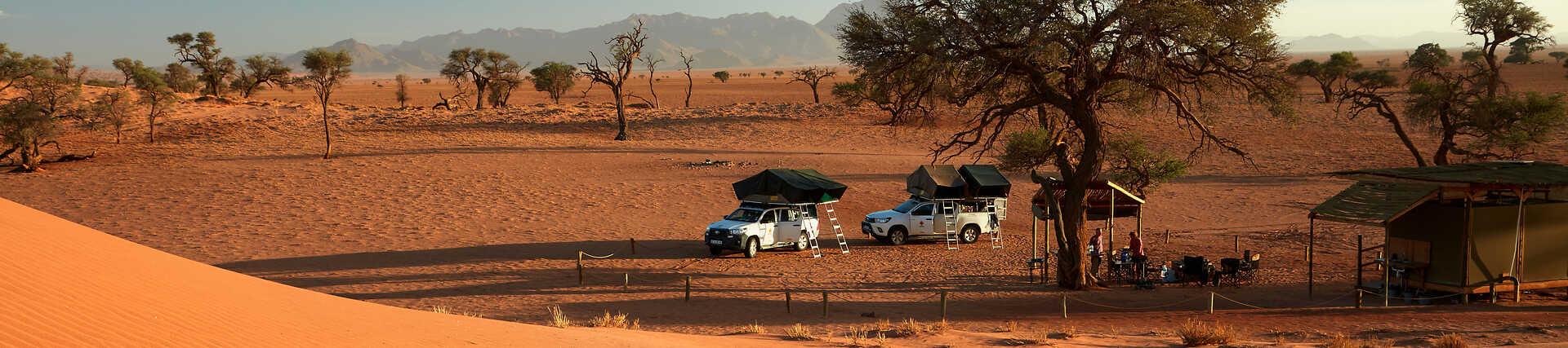 Sanddünen in der Namib-Wüste unter blauem Himmel.