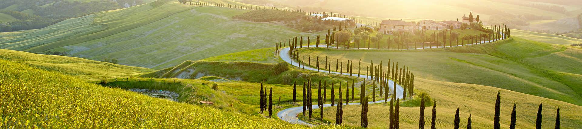 Toskana, Italien: Malerische Landschaft mit Zypressen und sanften Hügeln bei Sonnenuntergang.