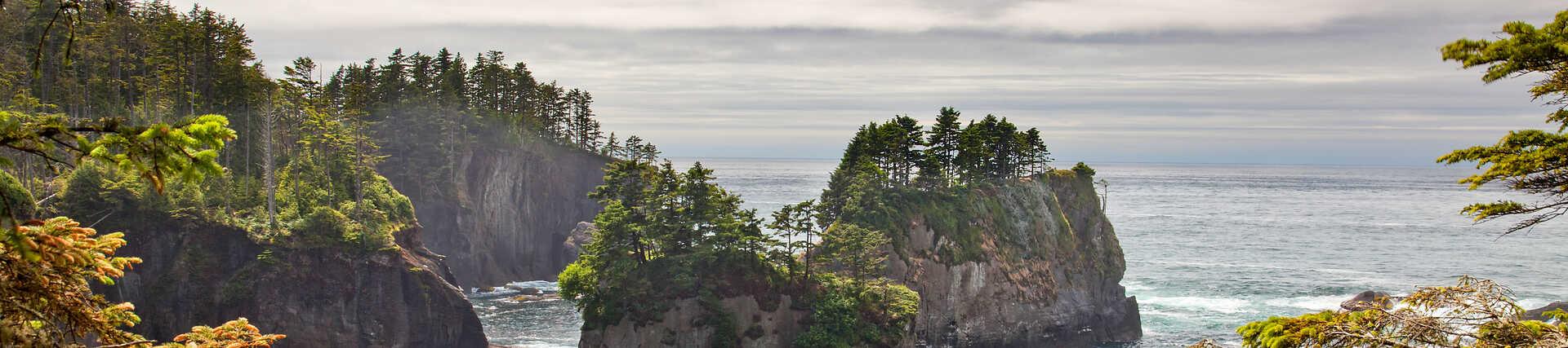 Spektakuläre Meeresfelsen (Sea Stacks) an der Küste von Washington, Olympic National Park.