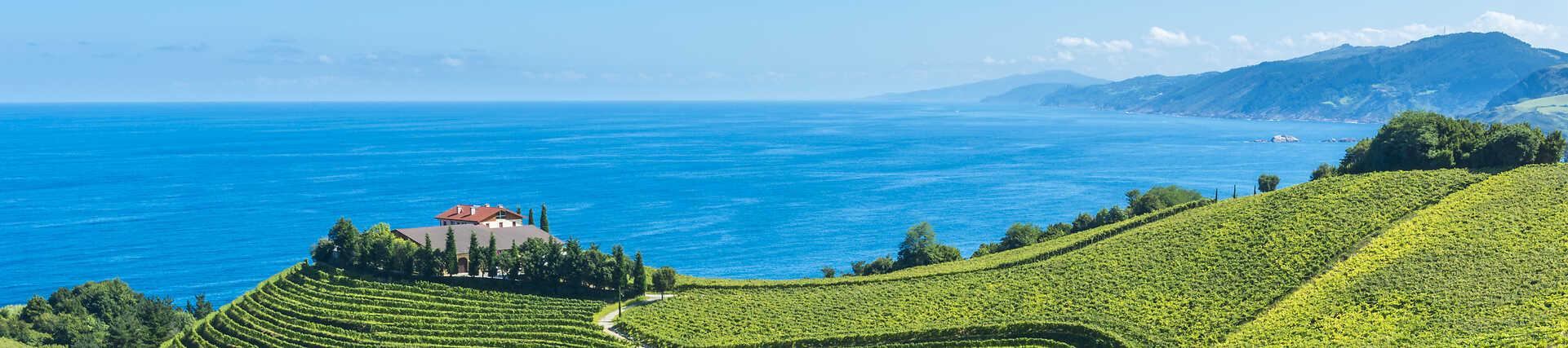 Die Stadt Getaria in Spanien mit Blick auf das Meer.