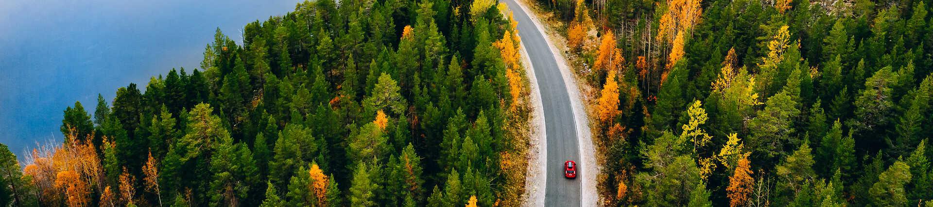 Finnland-Roadtrip: Straße durch herbstliche Landschaft.