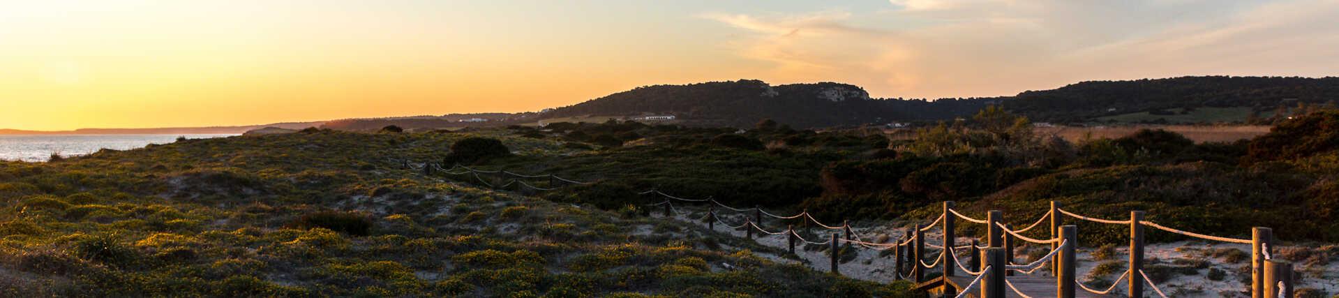 Beeindruckendes Panorama eines Holzstegs, der durch bewachsene Sanddünen zu einem malerischen Strand und dem Meer führt. Perfekte Aufnahme für Sonnenuntergangsfotografie und Küstenlandschaft.