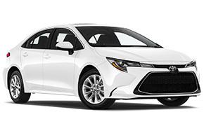 Nissan Sentra or Similar
