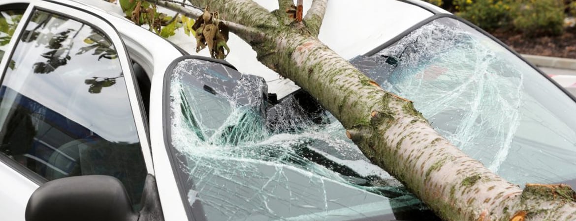 Sturmschaden am Auto
