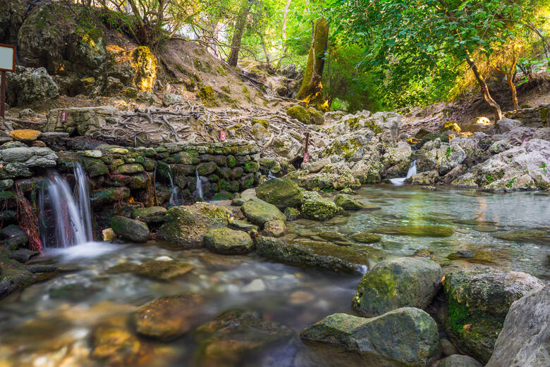 Kleines Waldstück auf Rhodos mit Quellen