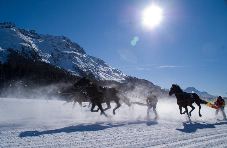 Skijöring mit Pferden
