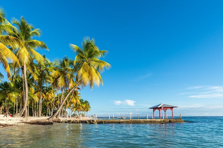 Palmen und Steg an einem Karibikstrand in Guadeloupe