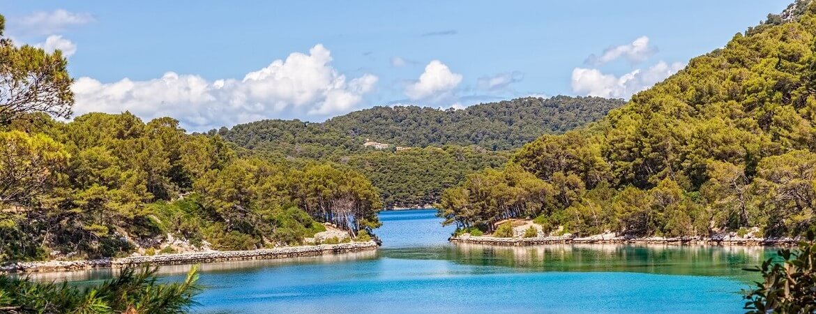 Bäume und Meer im Mljet-Nationalpark in Kroatien