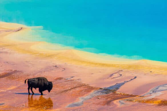 Yellowstone National Park
