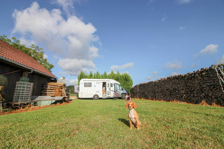Camping mit Wohnmobil und Hund auf einem Bauernhof