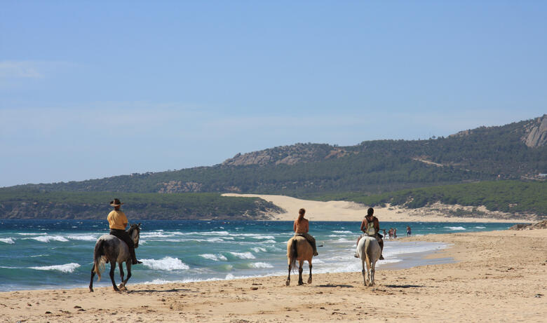 Reiten am Strand von Malaga