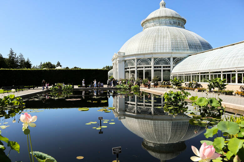 Botanischer Garten in der Bronx