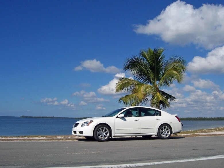 Ein weißes Auto fährt über eine Küstenstraße mit Palmen in Florida