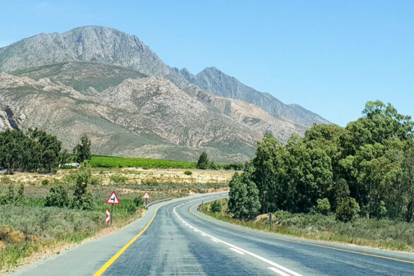 Südafrika-Rundreise: Die Garden Route