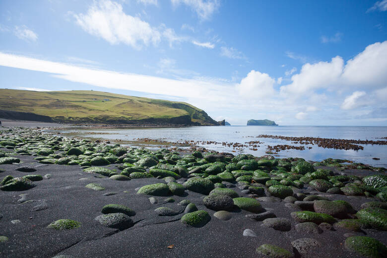 Schwarzer Sandstrand in Island 