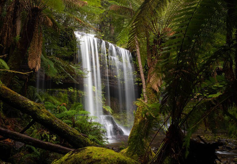 Wasserfälle in einem Nationalpark in Tasmanien