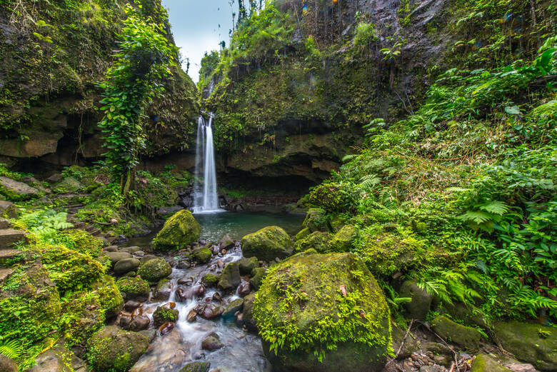 Wasserfall im Dschungel auf der Karibikinsel Dominica