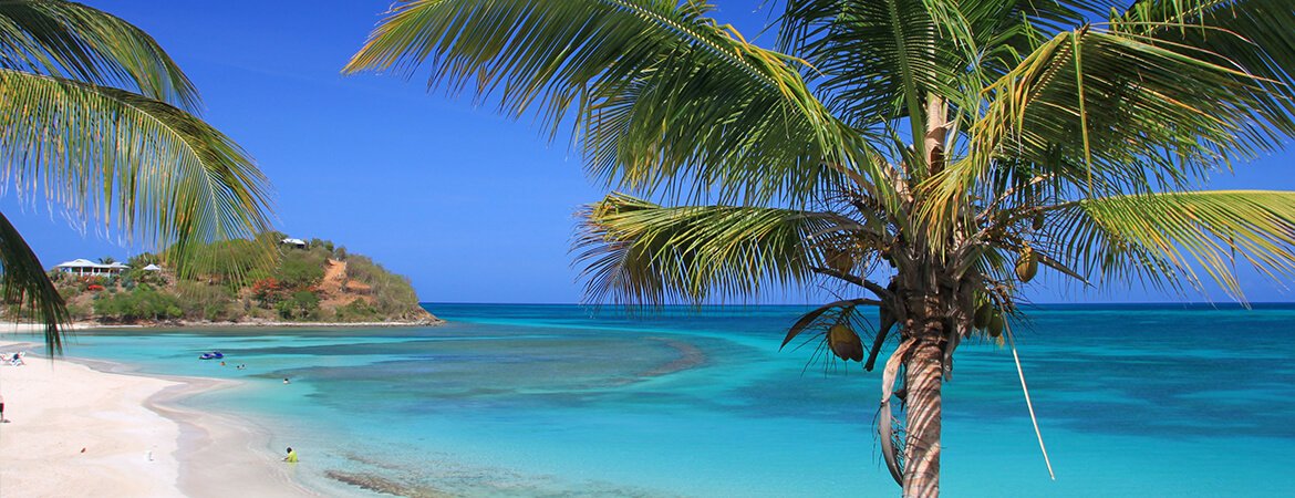 Palme an einem Sandstrand in der Karibik