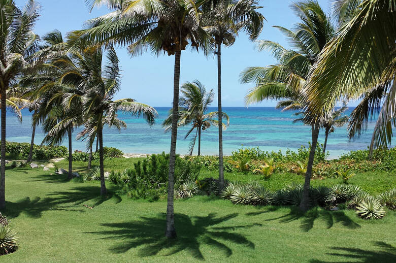 Palmenstrand bei Jibacoa, Kuba