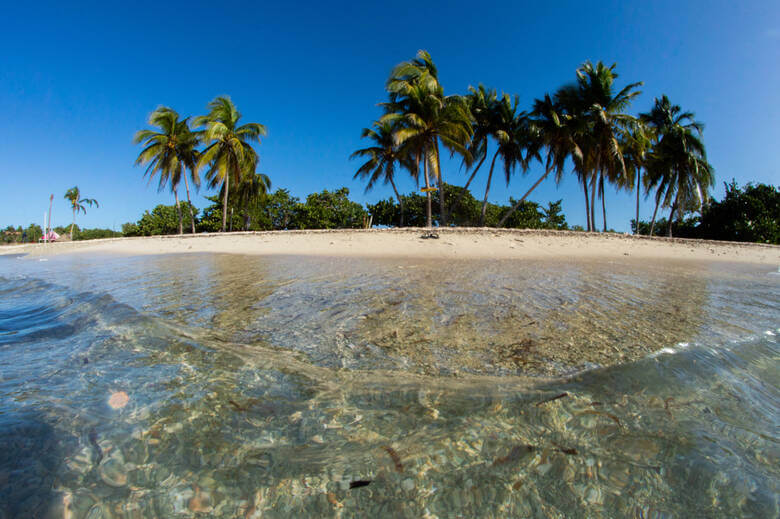 Klares Wasser und Palmen an der Schweinebucht auf Kuba