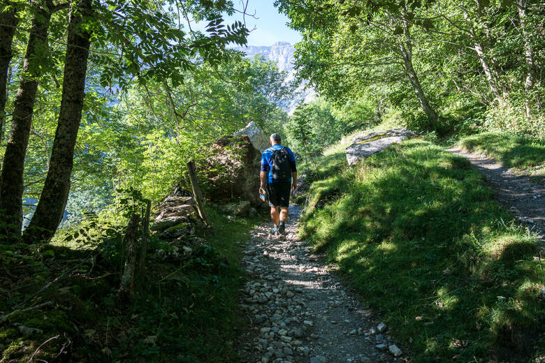 Mann wandert durch einen Wald in den Pyrenäen