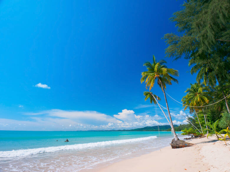 Palmen an einem Strand in Thailand