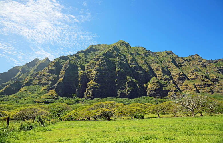 Bäume und Bergkette auf Hawaii