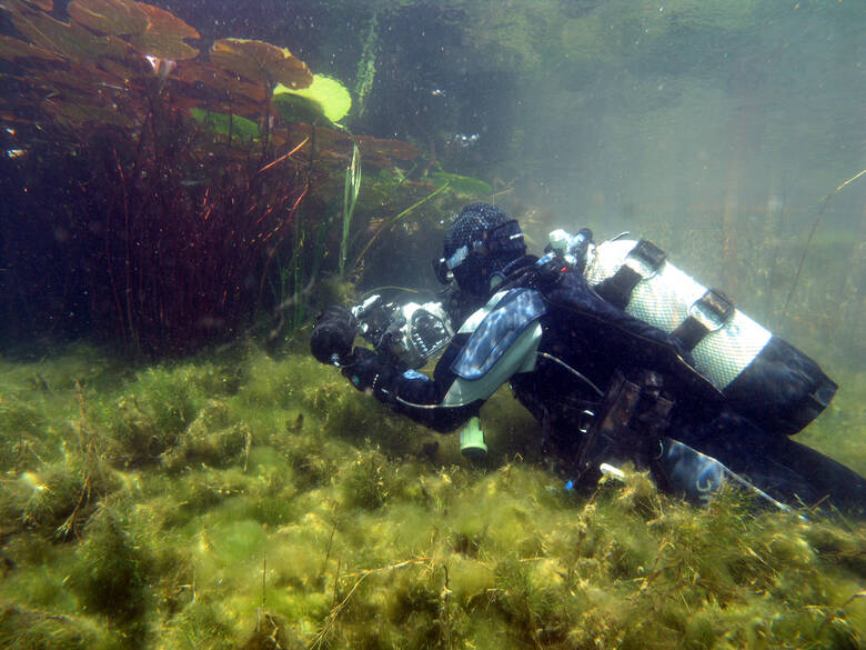 Taucher fotografiert Unterwasserwelt