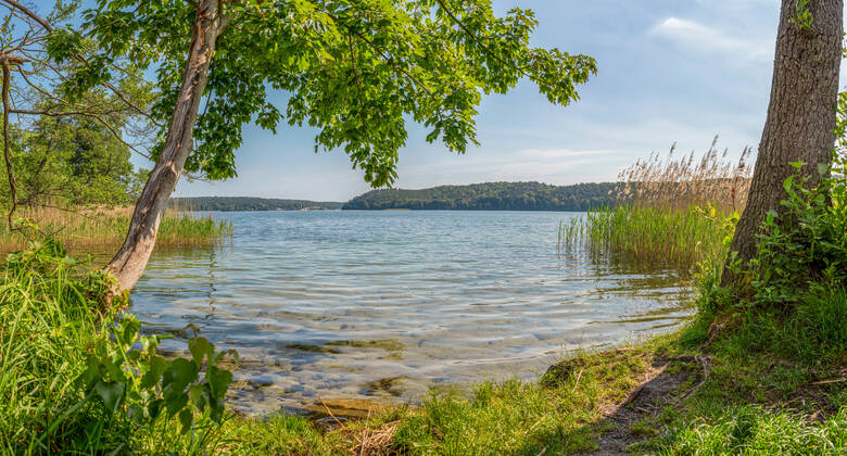 Naturparadies Werbellinsee Taucheinstieg "Dornbusch"