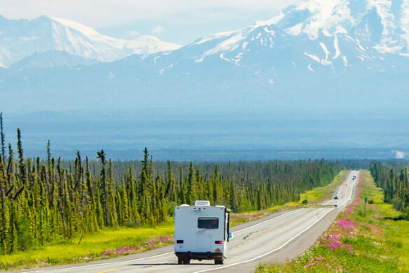 Alaska-Rundreise: das Abenteuer Wildnis erleben