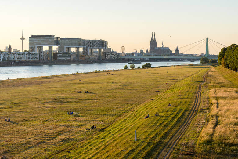 Die Poller Wiesen in Köln im Sommer