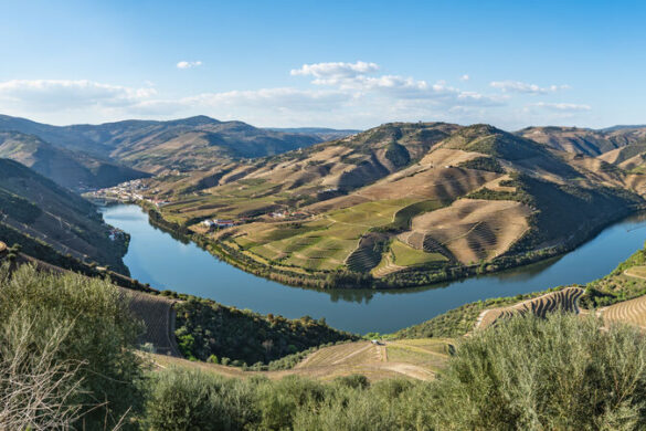 Alto Douro: die älteste Weinregion der Welt