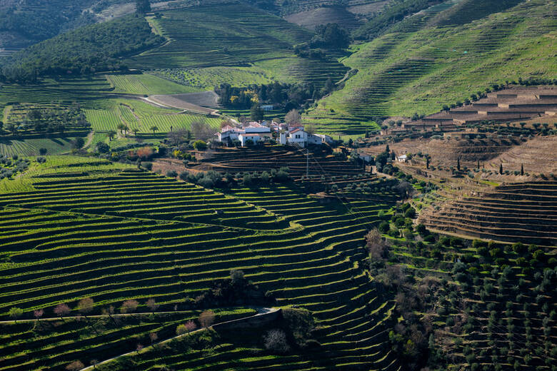 Weingut in dern Weinregion Alto Douro in Portugal