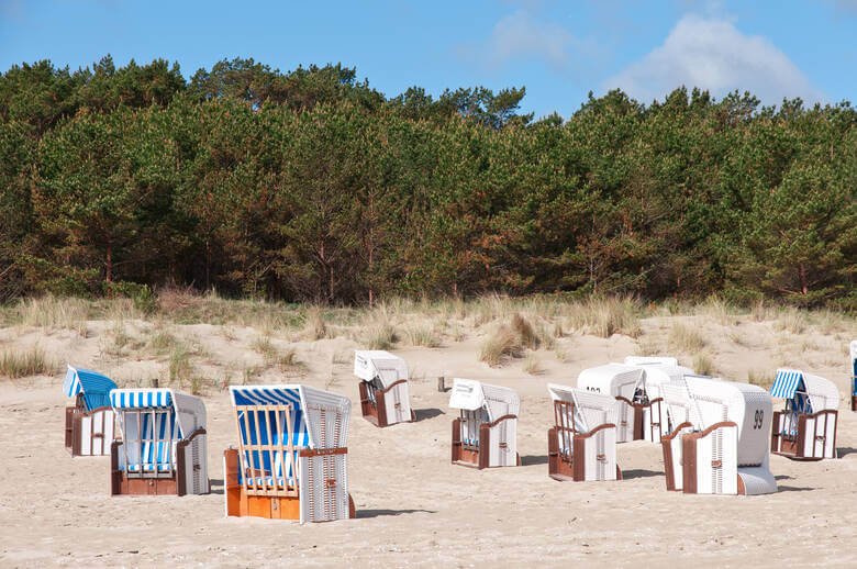 Strandkörbe an einem Sandstrand an der Ostsee