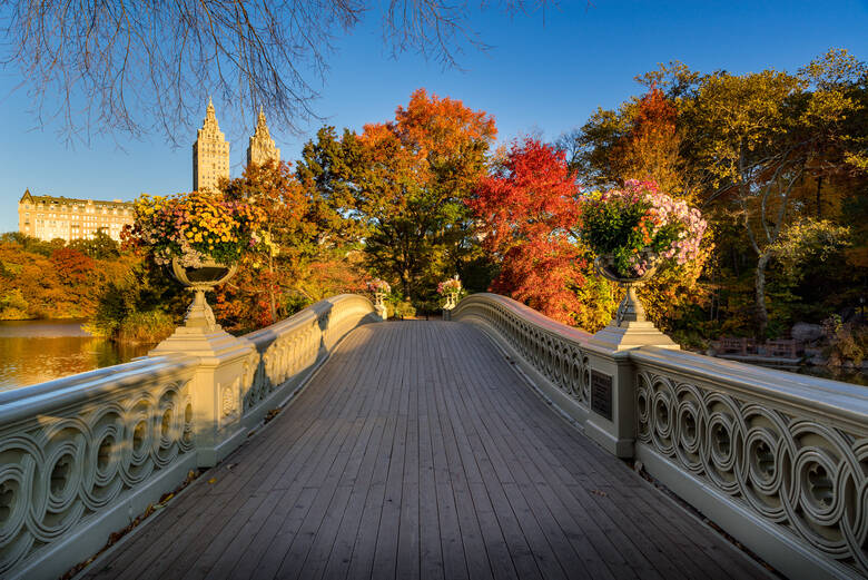 Central Park mit Bow Bridge im Herbst