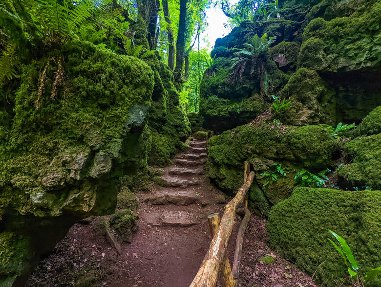 Ein verwunschener Weg im mystischen Puzzlewald in England 