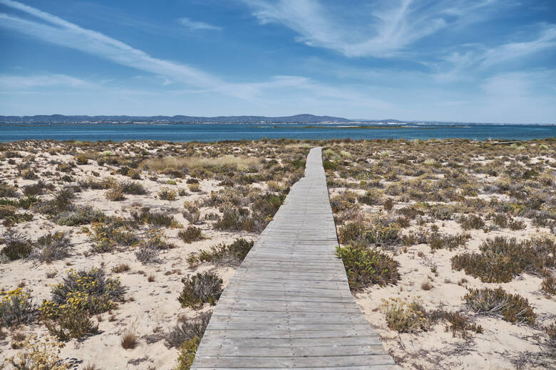 Steg auf einer Insel bei Faro in Portugal