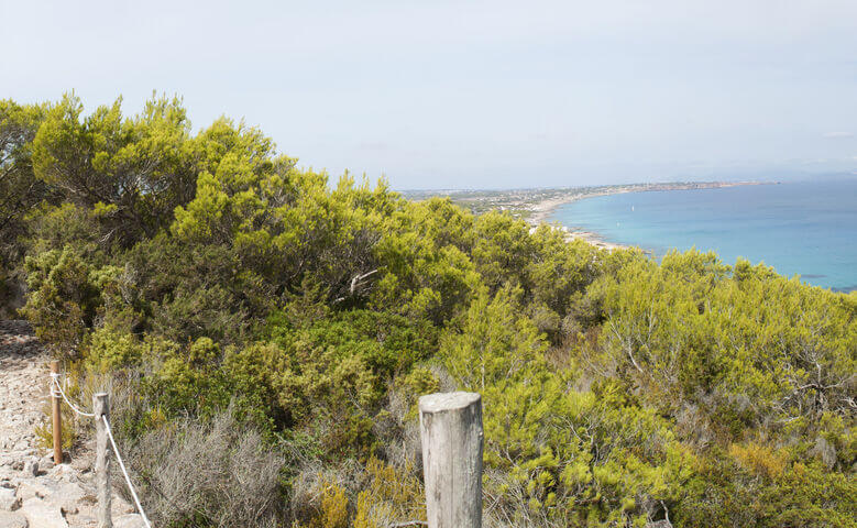Ausblick von Wanderweg auf das Meer auf Formentera