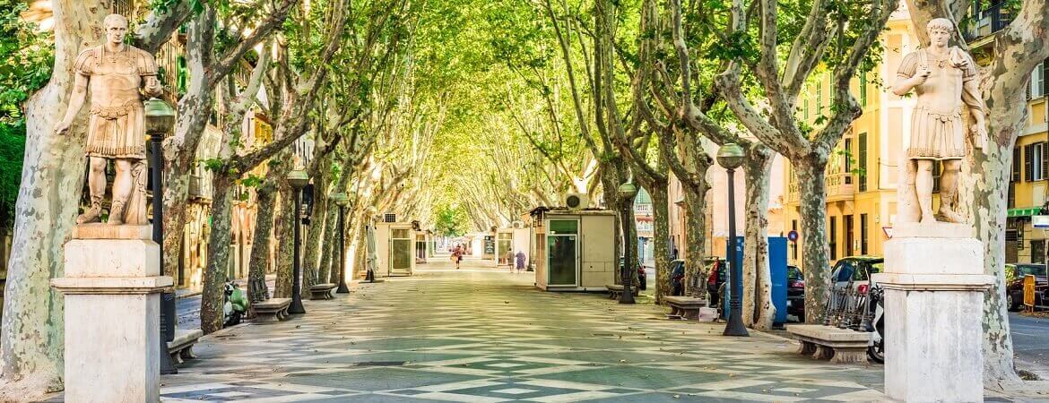 Passeig del Born in Mallorca