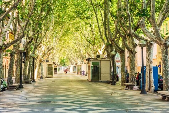 Shopping auf Mallorca – Bummeln von Palma bis Calas
