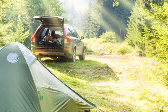 Mietwagen-Tipp: Mietwagen gestohlen – was nun?