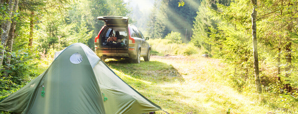 Zelt und Auto auf einem Campingplatz