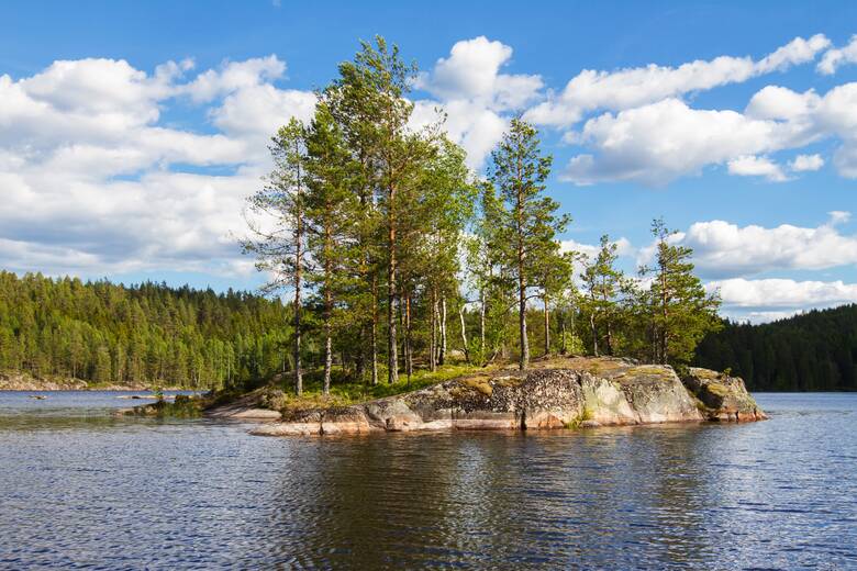 Bäume auf einer kleinen Insel in Schweden