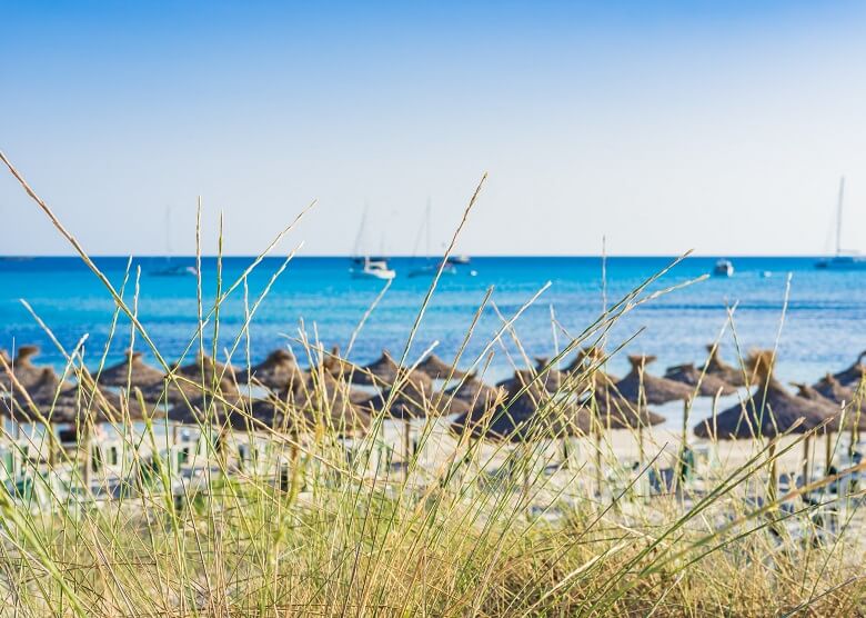 Schirme am Strand Es Trenc auf Mallorca