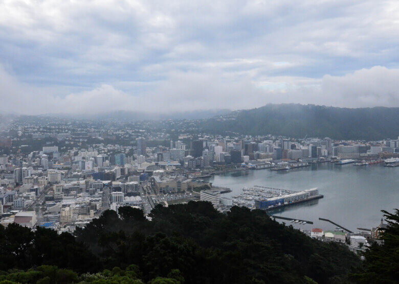 Aussicht über Wellington