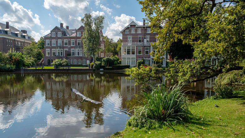 Vögel am Vondelparkt in Amsterdam