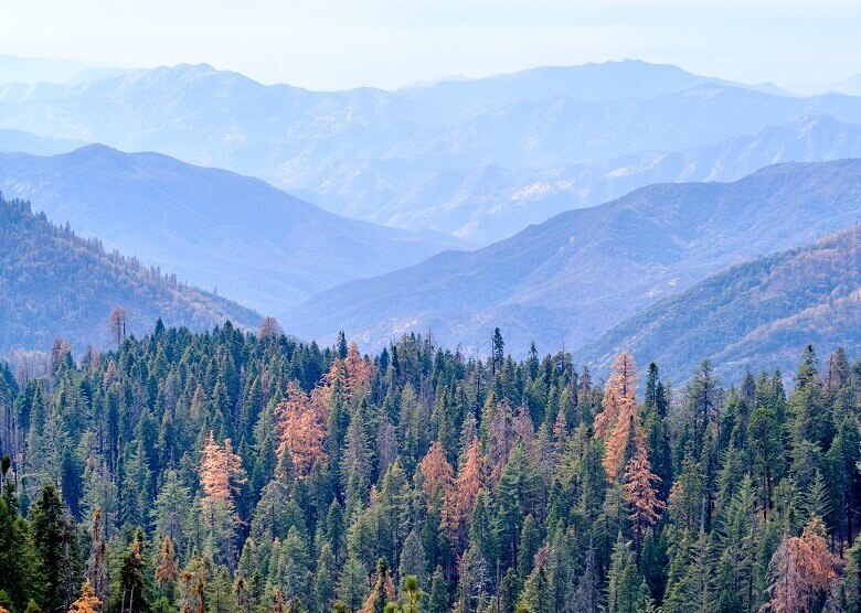 Sequoia Nationalpark