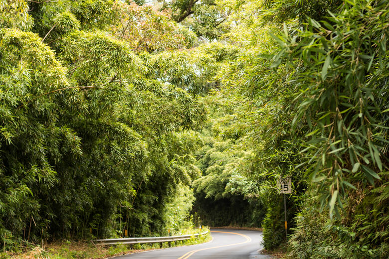 Road to Hana auf Maui, Hawaii