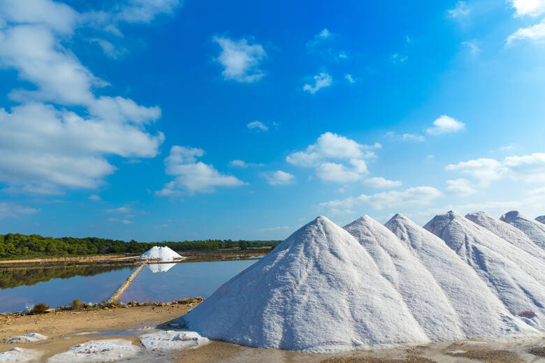 Ses Salines Salzfeld auf Mallorca