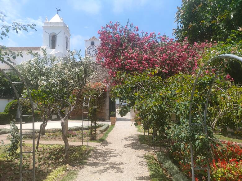 Blumen im Burggarten von Tavira mit Blick auf die Kirche